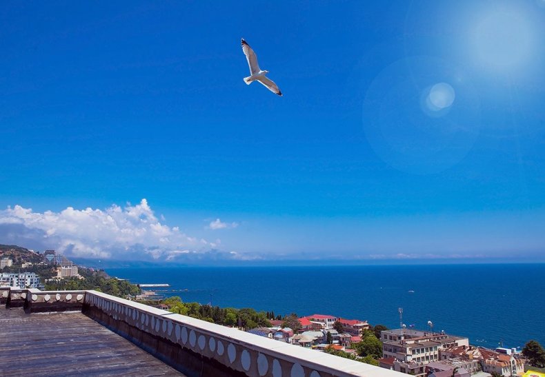 �� Status House, �. ������